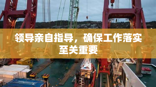 领导亲自指导，确保工作落实至关重要
