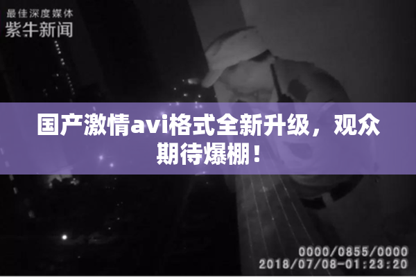 国产激情avi格式全新升级，观众期待爆棚！