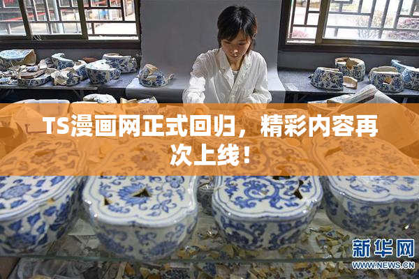 TS漫画网正式回归，精彩内容再次上线！