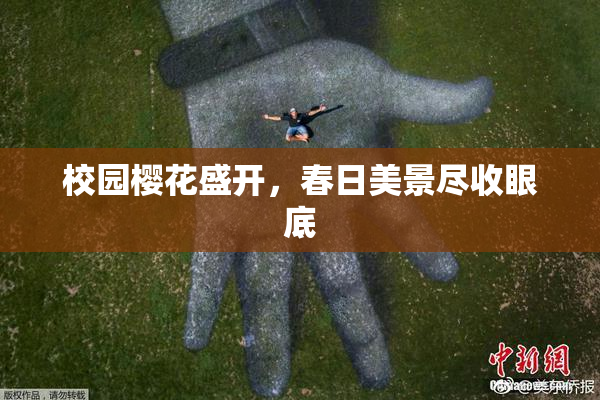 校园樱花盛开，春日美景尽收眼底