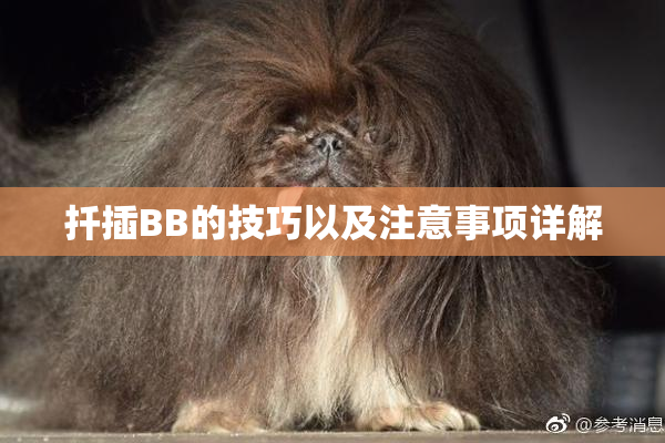 扦插BB的技巧以及注意事项详解