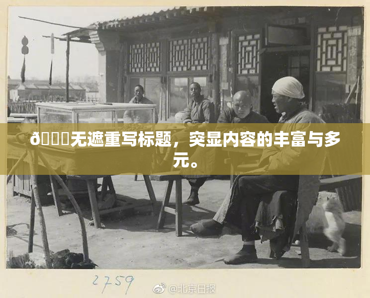 🔞无遮重写标题，突显内容的丰富与多元。