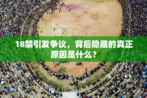 18禁引发争议，背后隐藏的真正原因是什么？