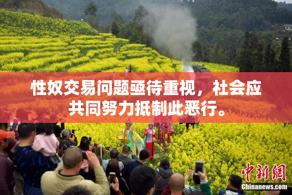 性奴交易问题亟待重视，社会应共同努力抵制此恶行。