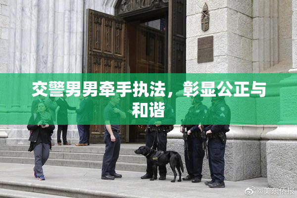 交警男男牵手执法，彰显公正与和谐