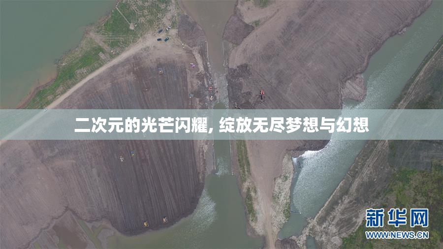 二次元的光芒闪耀, 绽放无尽梦想与幻想