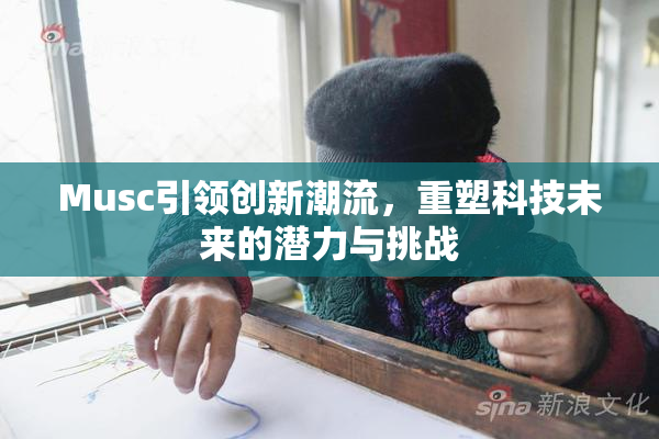 Musc引领创新潮流，重塑科技未来的潜力与挑战