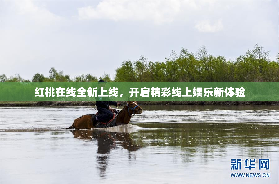 红桃在线全新上线，开启精彩线上娱乐新体验
