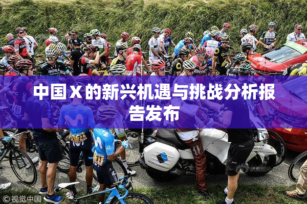 中国Ⅹ的新兴机遇与挑战分析报告发布