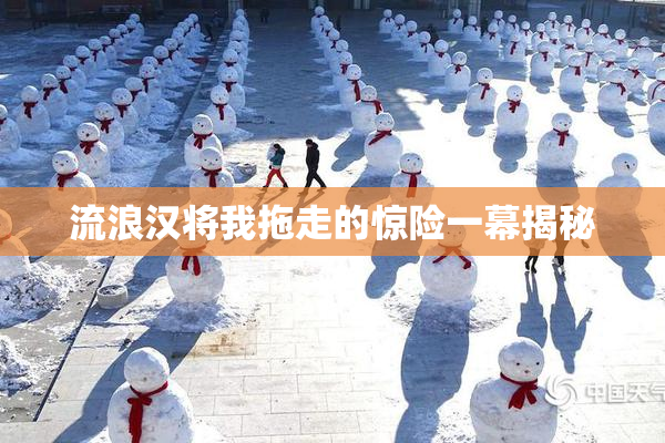 流浪汉将我拖走的惊险一幕揭秘