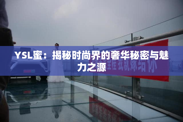 YSL蜜：揭秘时尚界的奢华秘密与魅力之源