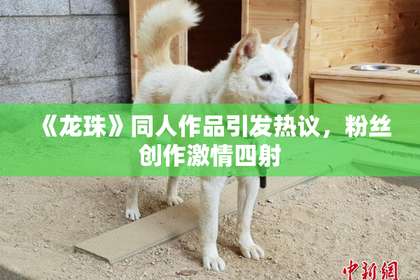 《龙珠》同人作品引发热议，粉丝创作激情四射