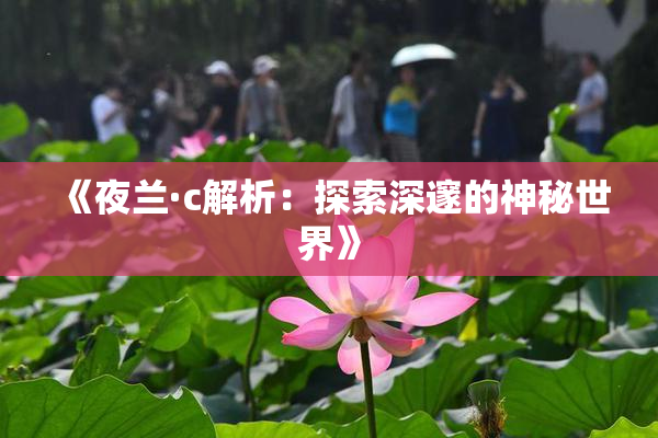 《夜兰·c解析：探索深邃的神秘世界》