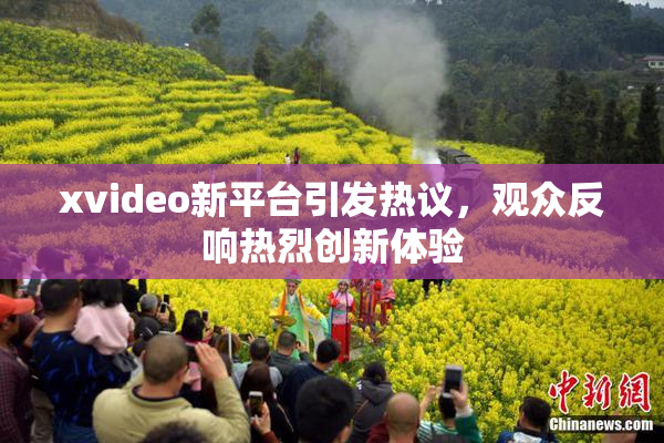 xvideo新平台引发热议，观众反响热烈创新体验