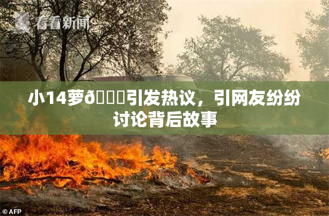 小14萝🔞引发热议，引网友纷纷讨论背后故事