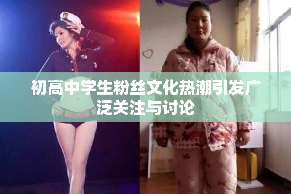 初高中学生粉丝文化热潮引发广泛关注与讨论