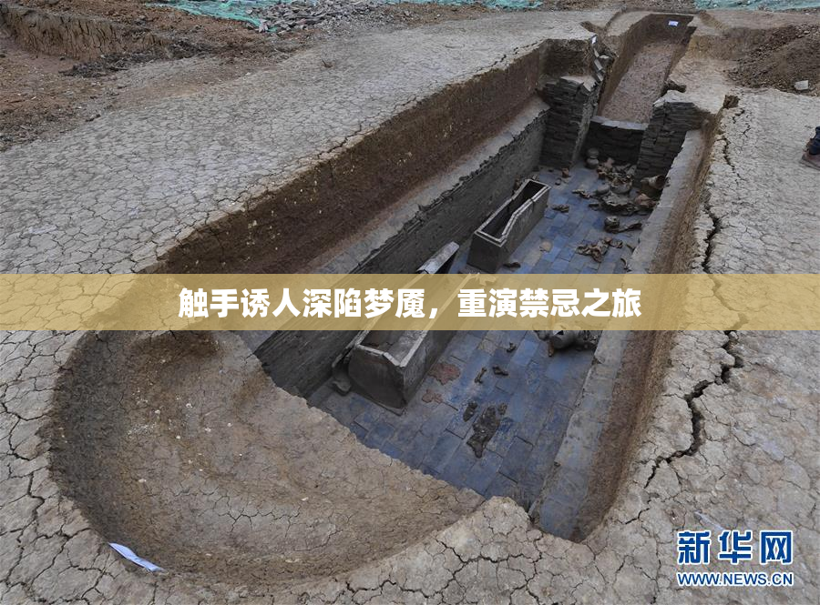 触手诱人深陷梦魇，重演禁忌之旅