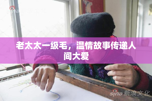 老太太一级毛，温情故事传递人间大爱