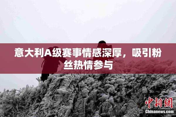 意大利A级赛事情感深厚，吸引粉丝热情参与