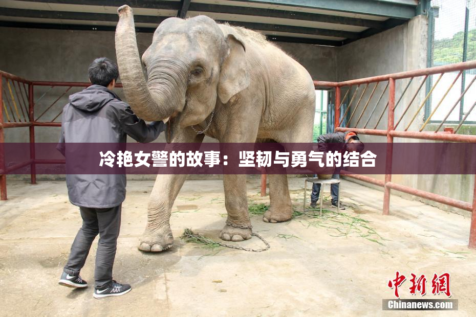冷艳女警的故事：坚韧与勇气的结合