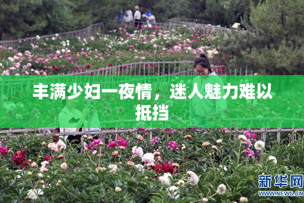 丰满少妇一夜情，迷人魅力难以抵挡