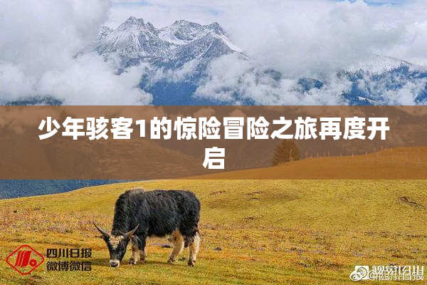 少年骇客1的惊险冒险之旅再度开启