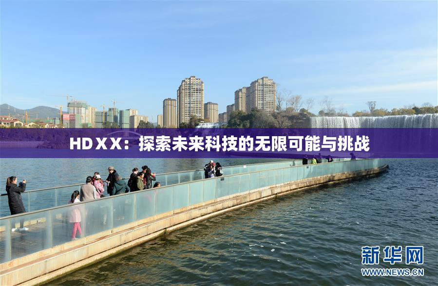 HDⅩX：探索未来科技的无限可能与挑战