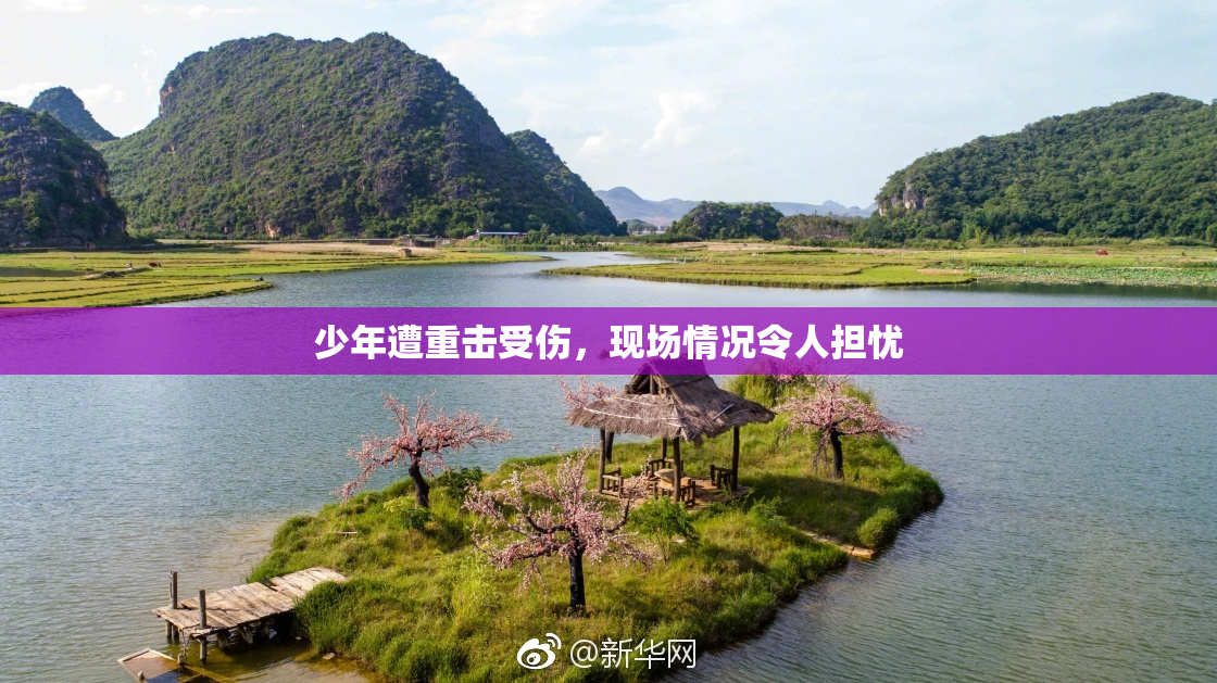 少年遭重击受伤，现场情况令人担忧