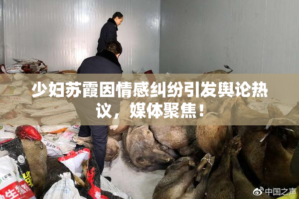 少妇苏霞因情感纠纷引发舆论热议，媒体聚焦！
