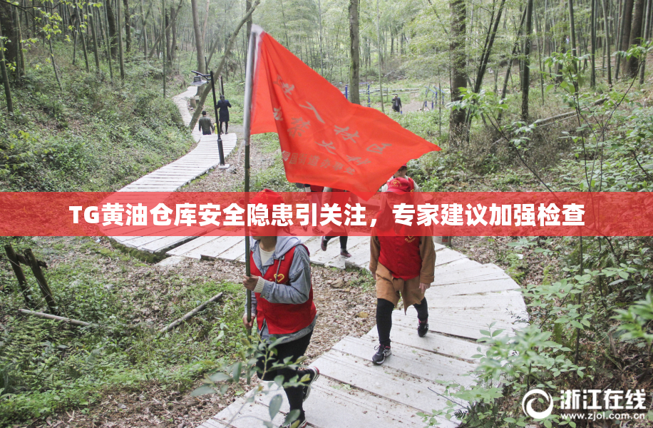 TG黄油仓库安全隐患引关注，专家建议加强检查