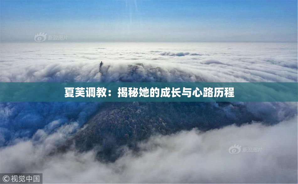 夏芙调教：揭秘她的成长与心路历程