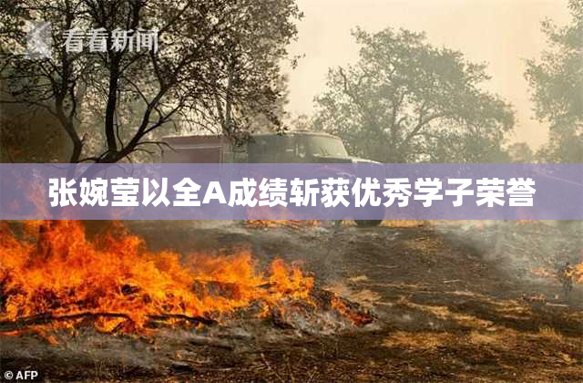 张婉莹以全A成绩斩获优秀学子荣誉