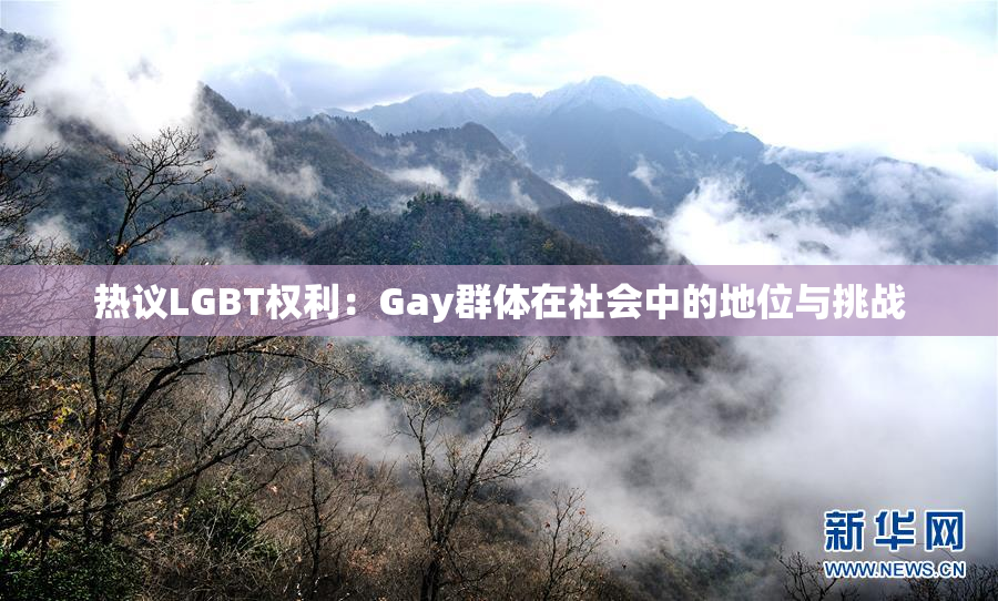 热议LGBT权利：Gay群体在社会中的地位与挑战