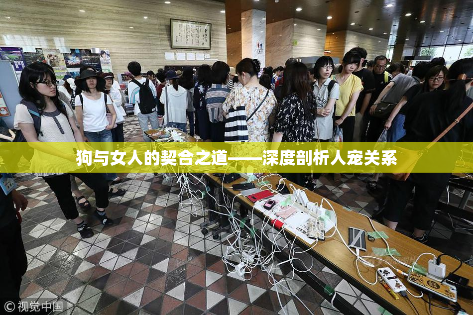 狗与女人的契合之道——深度剖析人宠关系