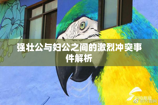 强壮公与妇公之间的激烈冲突事件解析