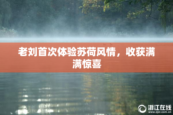 老刘首次体验苏荷风情，收获满满惊喜
