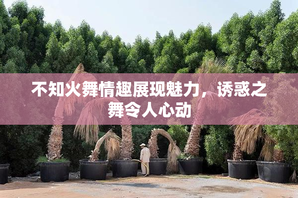 不知火舞情趣展现魅力，诱惑之舞令人心动