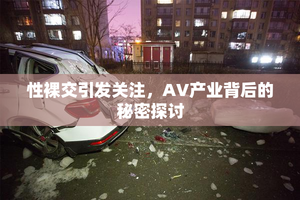 性裸交引发关注，AV产业背后的秘密探讨