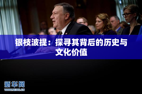 银枝波提：探寻其背后的历史与文化价值