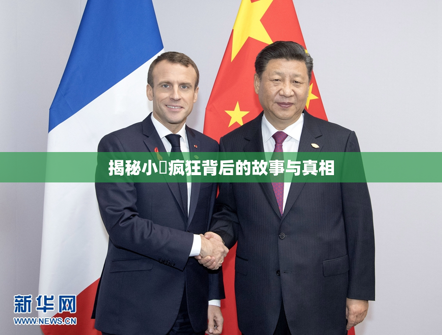 揭秘小泬疯狂背后的故事与真相
