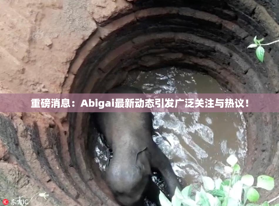 重磅消息：Abigai最新动态引发广泛关注与热议！
