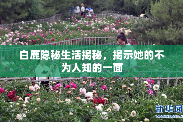 白鹿隐秘生活揭秘，揭示她的不为人知的一面