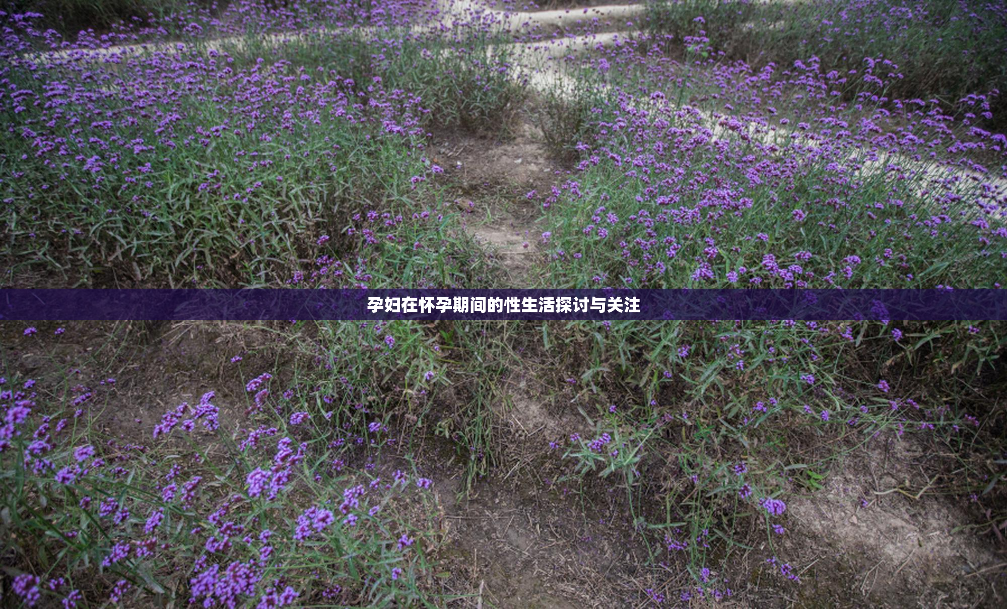 孕妇在怀孕期间的性生活探讨与关注