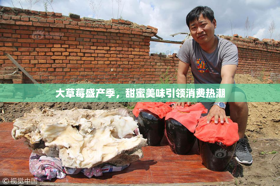 大草莓盛产季，甜蜜美味引领消费热潮