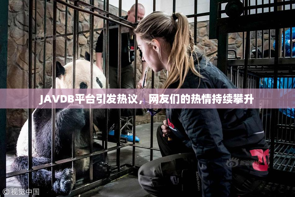 JAVDB平台引发热议，网友们的热情持续攀升