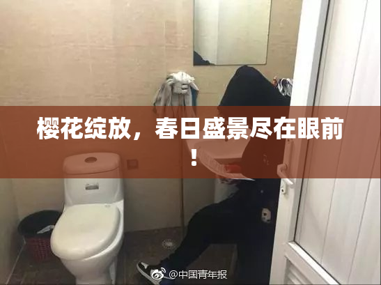 樱花绽放，春日盛景尽在眼前！