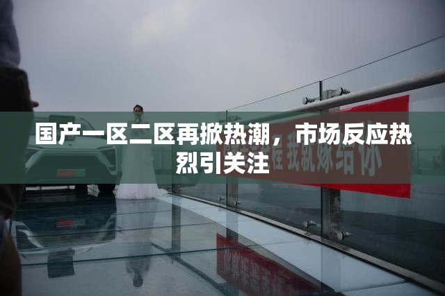 国产一区二区再掀热潮，市场反应热烈引关注