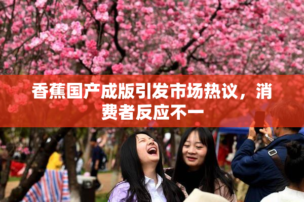 香蕉国产成版引发市场热议，消费者反应不一