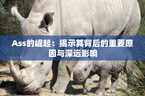 Ass的崛起：揭示其背后的重要原因与深远影响