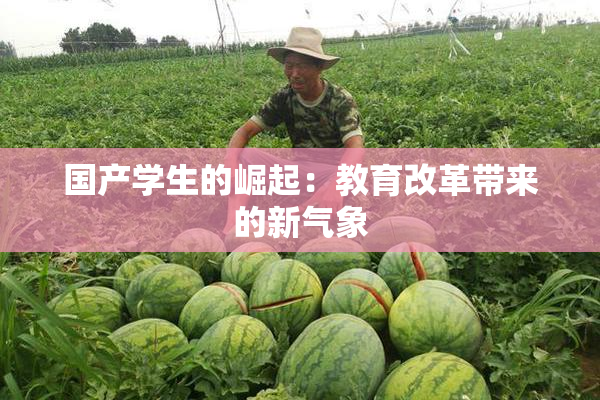 国产学生的崛起：教育改革带来的新气象